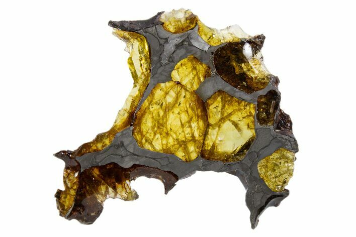 Polished Imilac Pallasite Meteorite (g) Slice #302101